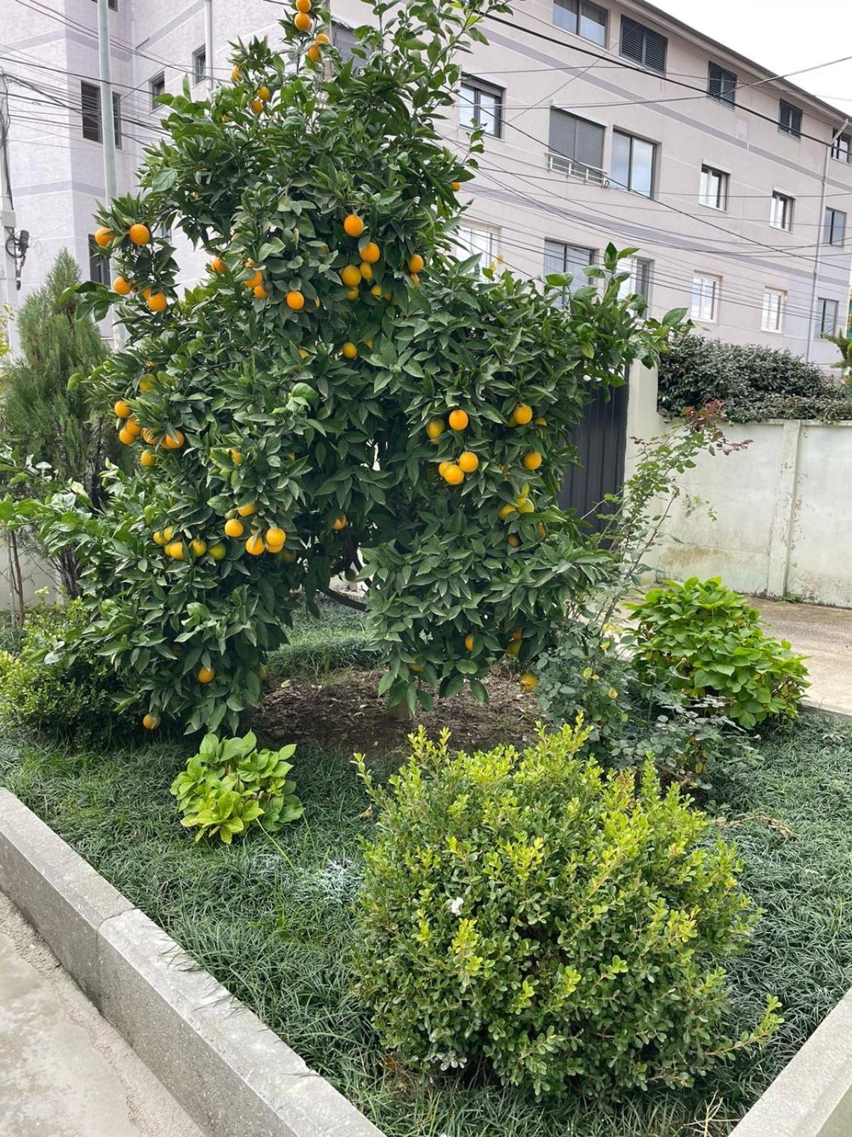 Kevi 'S Place Τίρανα Εξωτερικό φωτογραφία