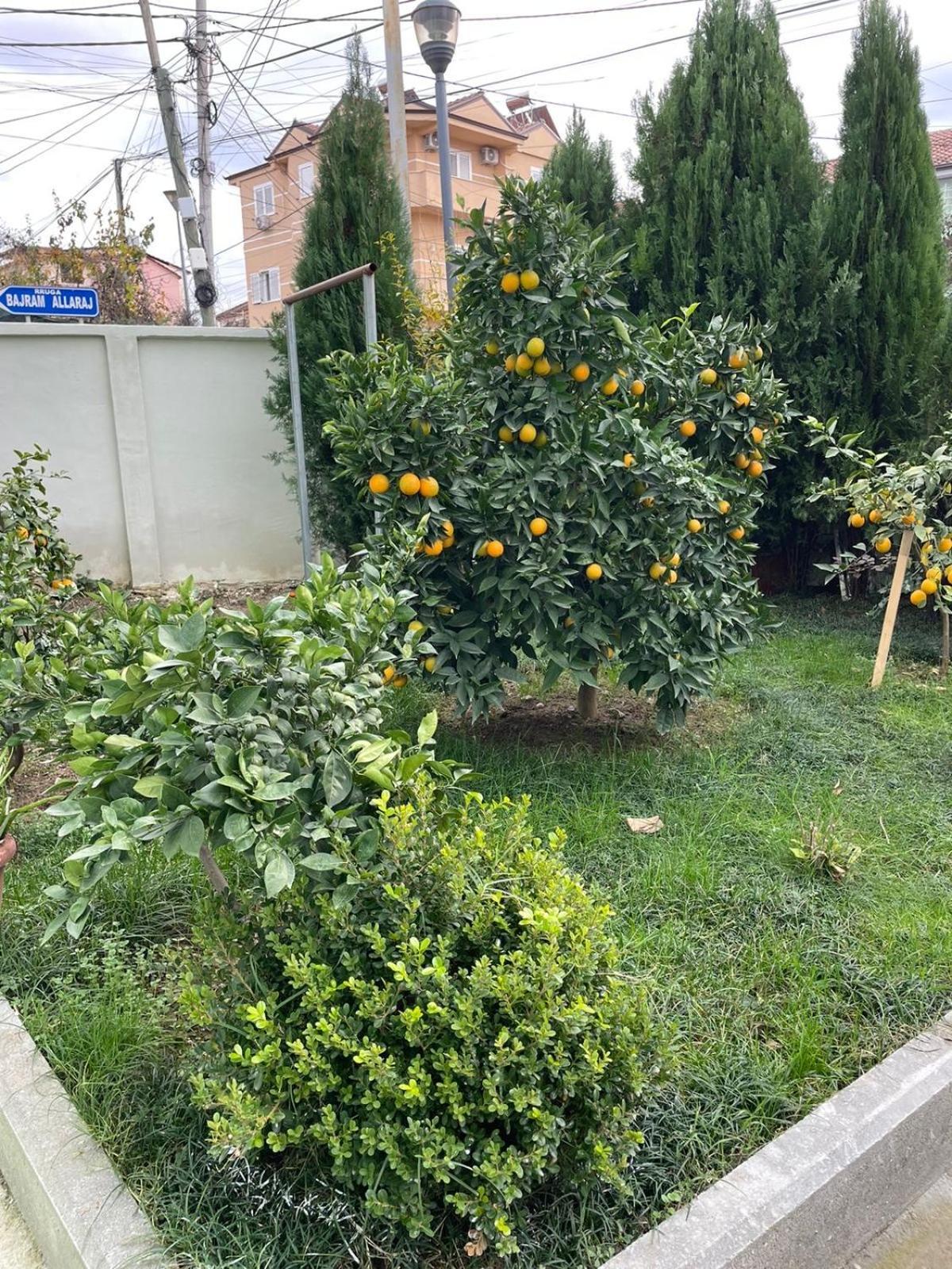 Kevi 'S Place Τίρανα Εξωτερικό φωτογραφία